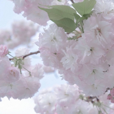 兽设原创构思技巧福瑞群